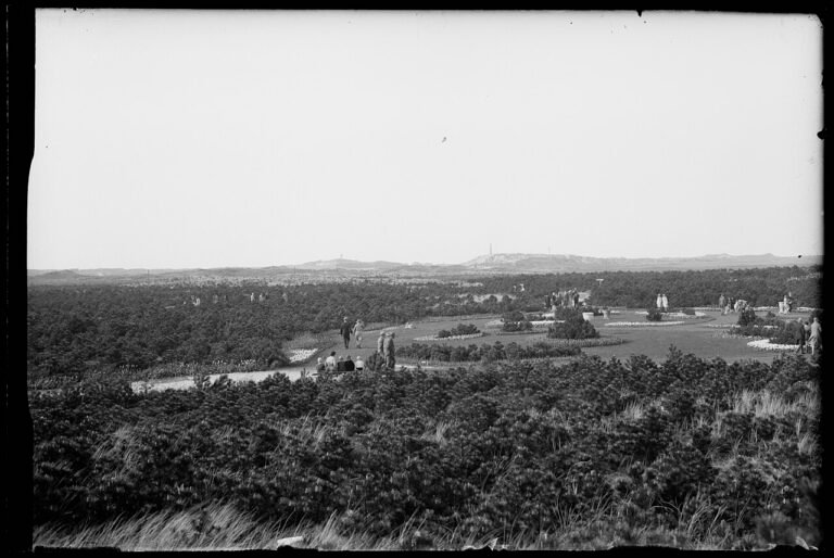 De Donkere Duinen