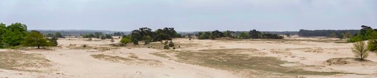 Kootwijkerzand