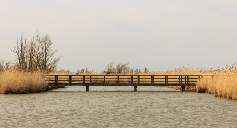 Oostvaardersplassen