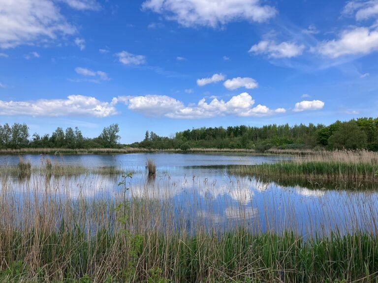 Lauwersoog Vogelkijkhut — hetero ontmoetingsplek in Lauwersoog