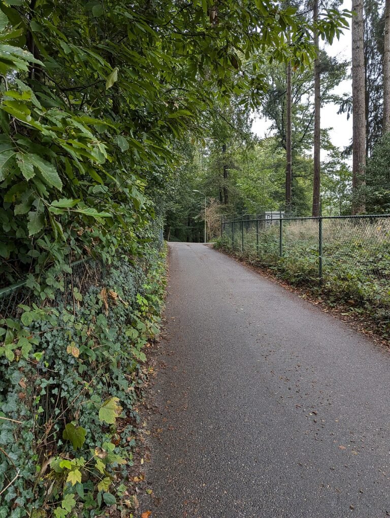 Holleweg