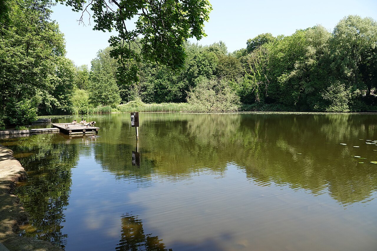 Pad in het bos achter L'Ephec — hetero ontmoetingsplek in Sint-Lambrechts-Woluwe