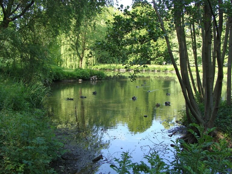 Osbroek Park Aalst