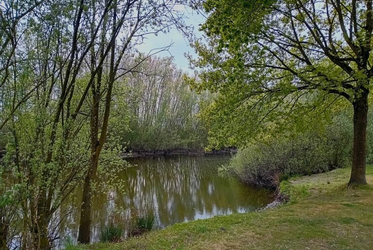 Visvijver — hetero ontmoetingsplek in Nieuw-Buinen