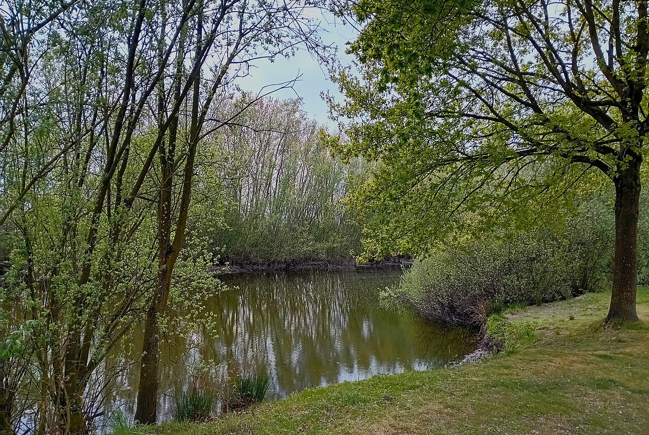 Visvijver — hetero ontmoetingsplek in Nieuw-Buinen