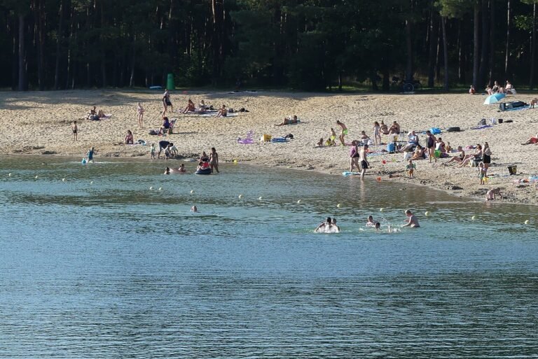 Zandenplas