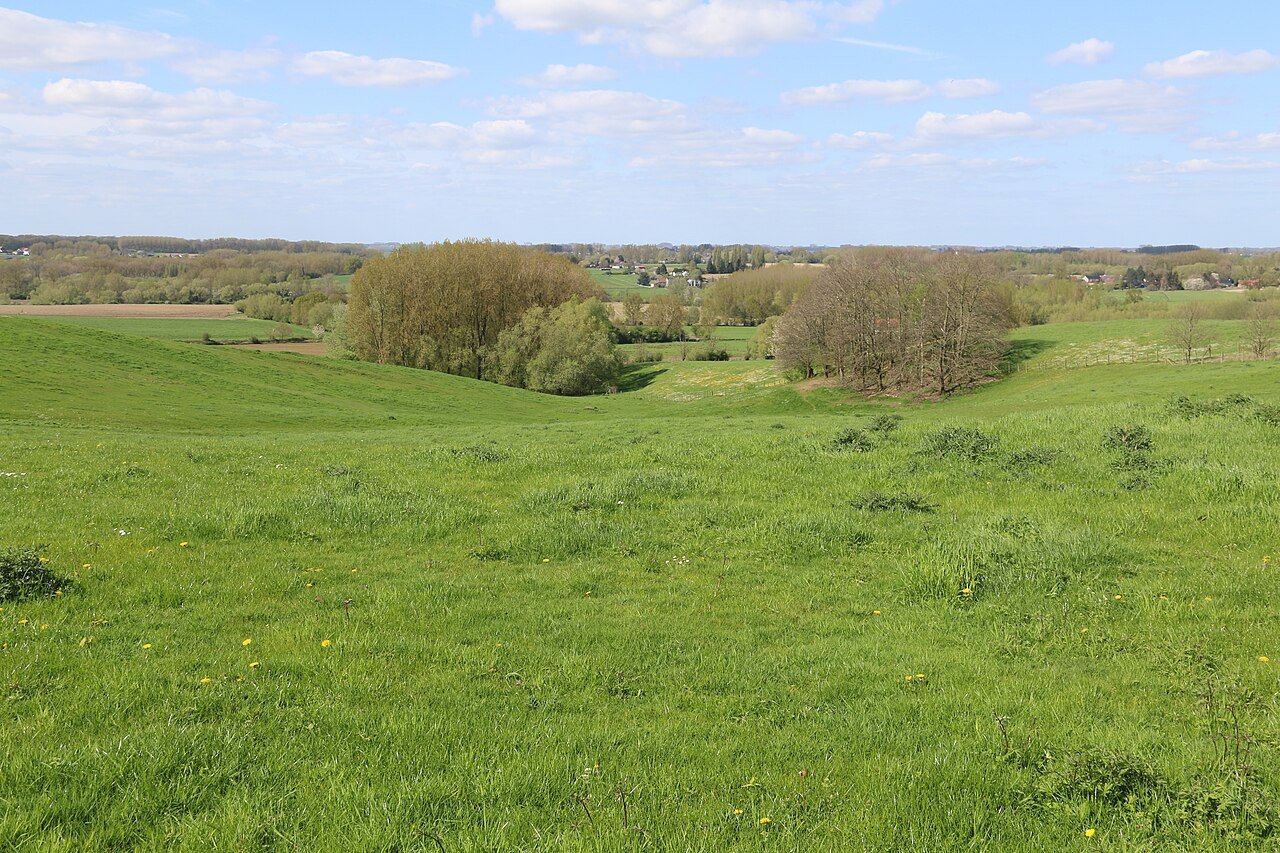 Groen glooiend landschap in het Pajottenland bij Ternat (Vlaams-Brabant) — recreatiegebied Zeer Rustig