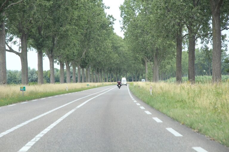 Reeksche Bos — hetero ontmoetingsplek in Reek