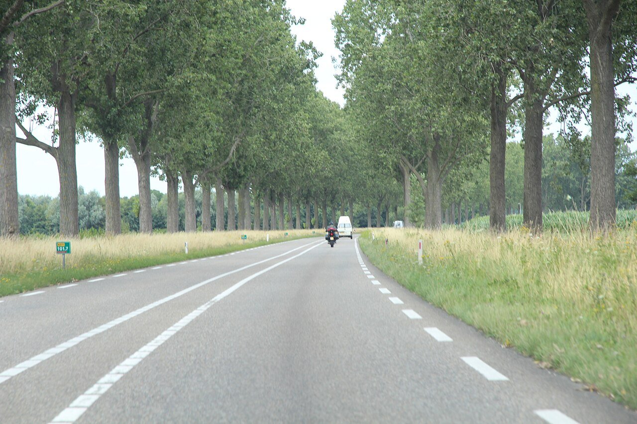 Reeksche Bos — hetero ontmoetingsplek in Reek