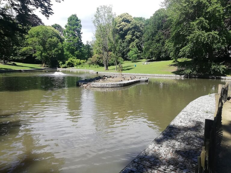 Serna Park