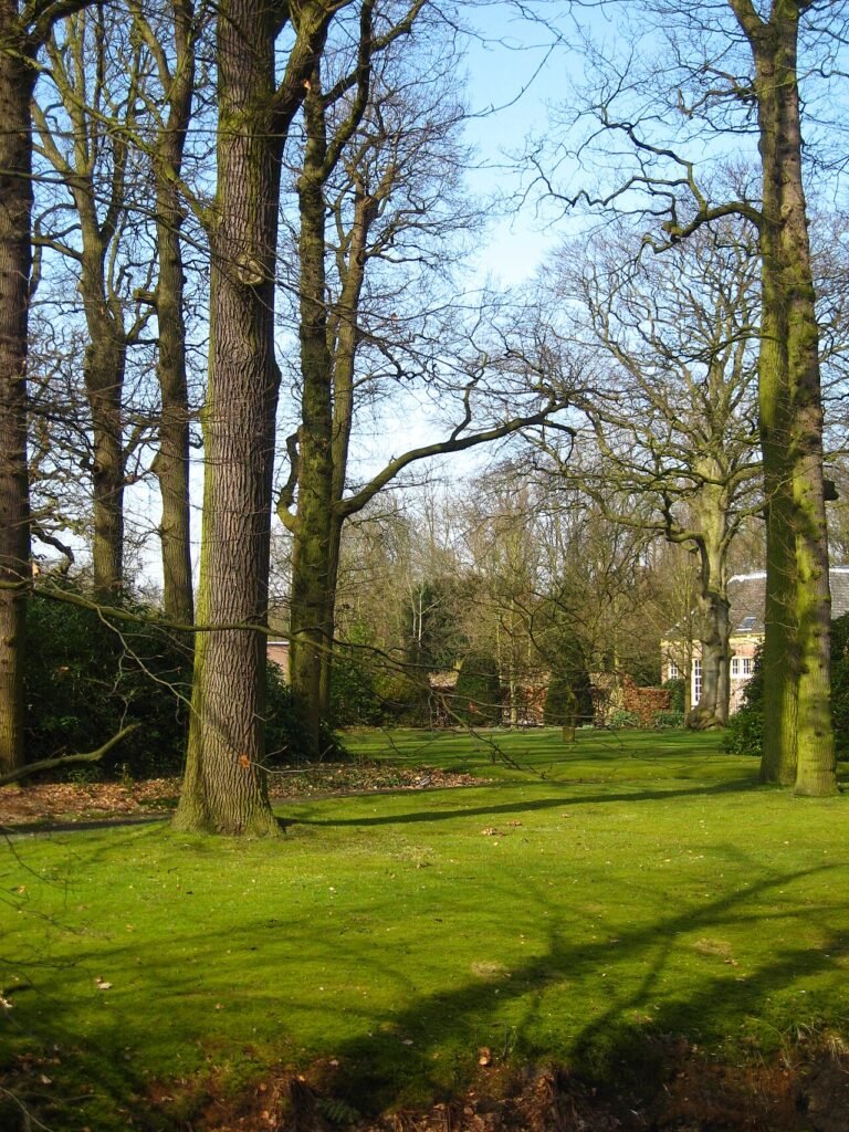 Zwembad Poelmeer