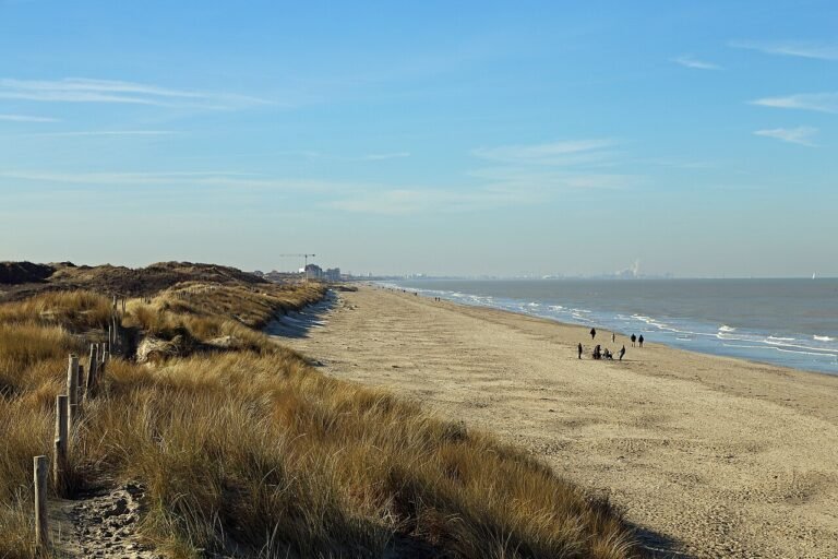 Strand De Panne (BE)