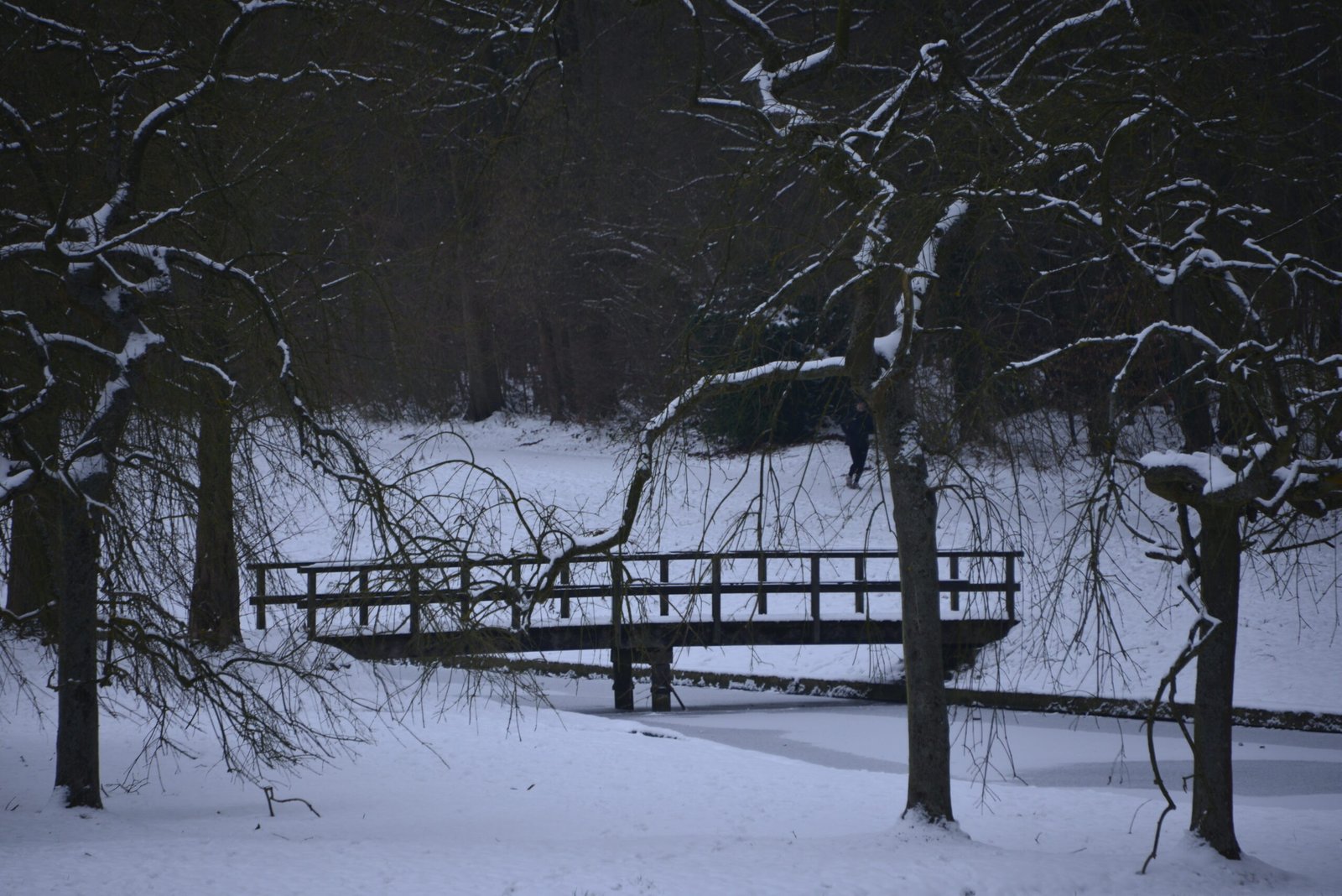 Park van Tervuren (BE) — hetero ontmoetingsplek in Tervuren