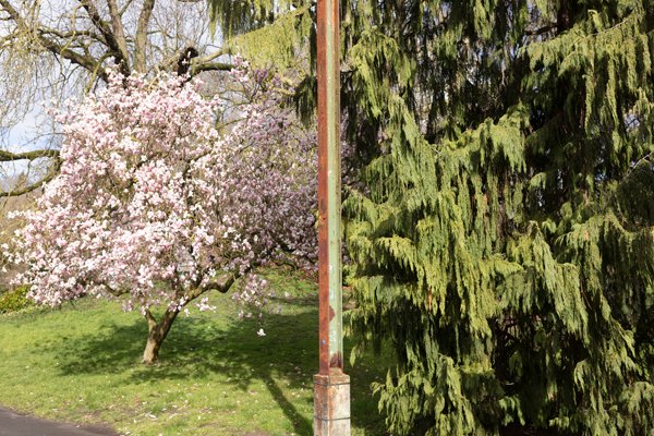 Stadspark Gent (BE) — hetero ontmoetingsplek in Gent