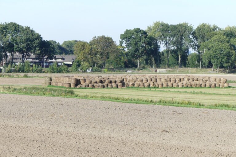 Rhoonse Grienden — hetero ontmoetingsplek in Rhoon
