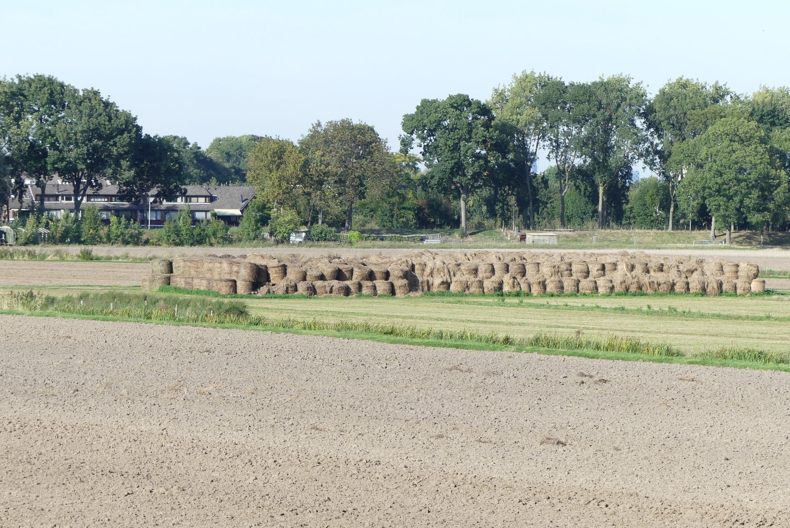 Rhoonse Grienden — hetero ontmoetingsplek in Rhoon