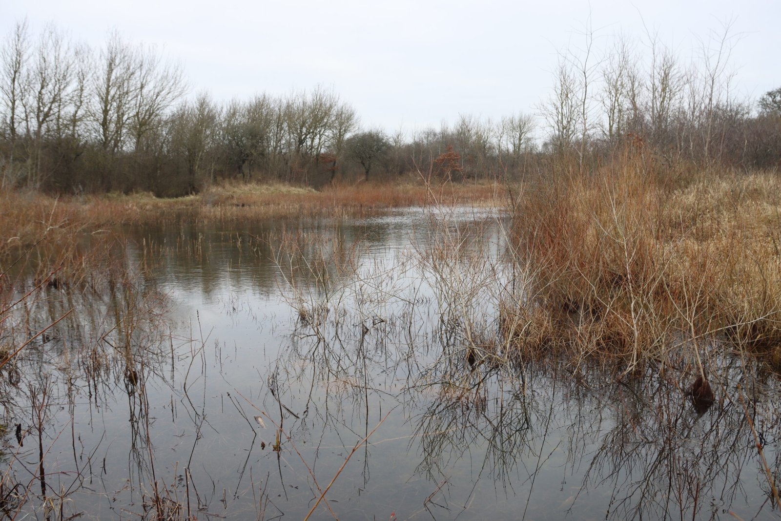 Strand Westduinen (Oostvoorne) — hetero ontmoetingsplek in Oostvoorne