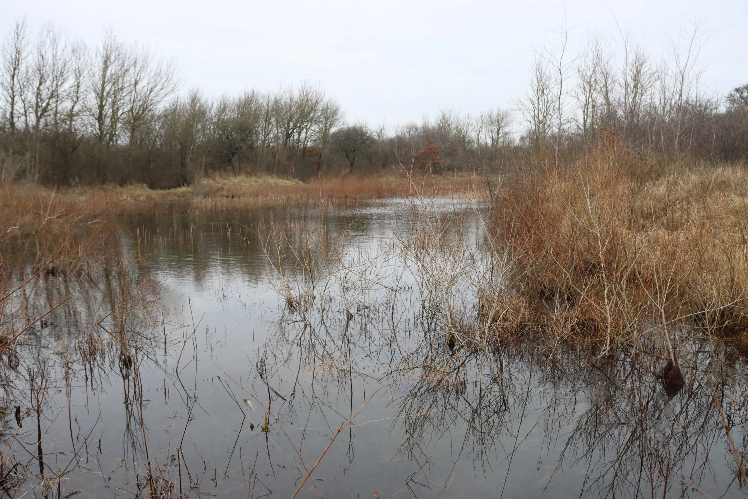 Strand Westduinen (Oostvoorne) — hetero ontmoetingsplek in Oostvoorne
