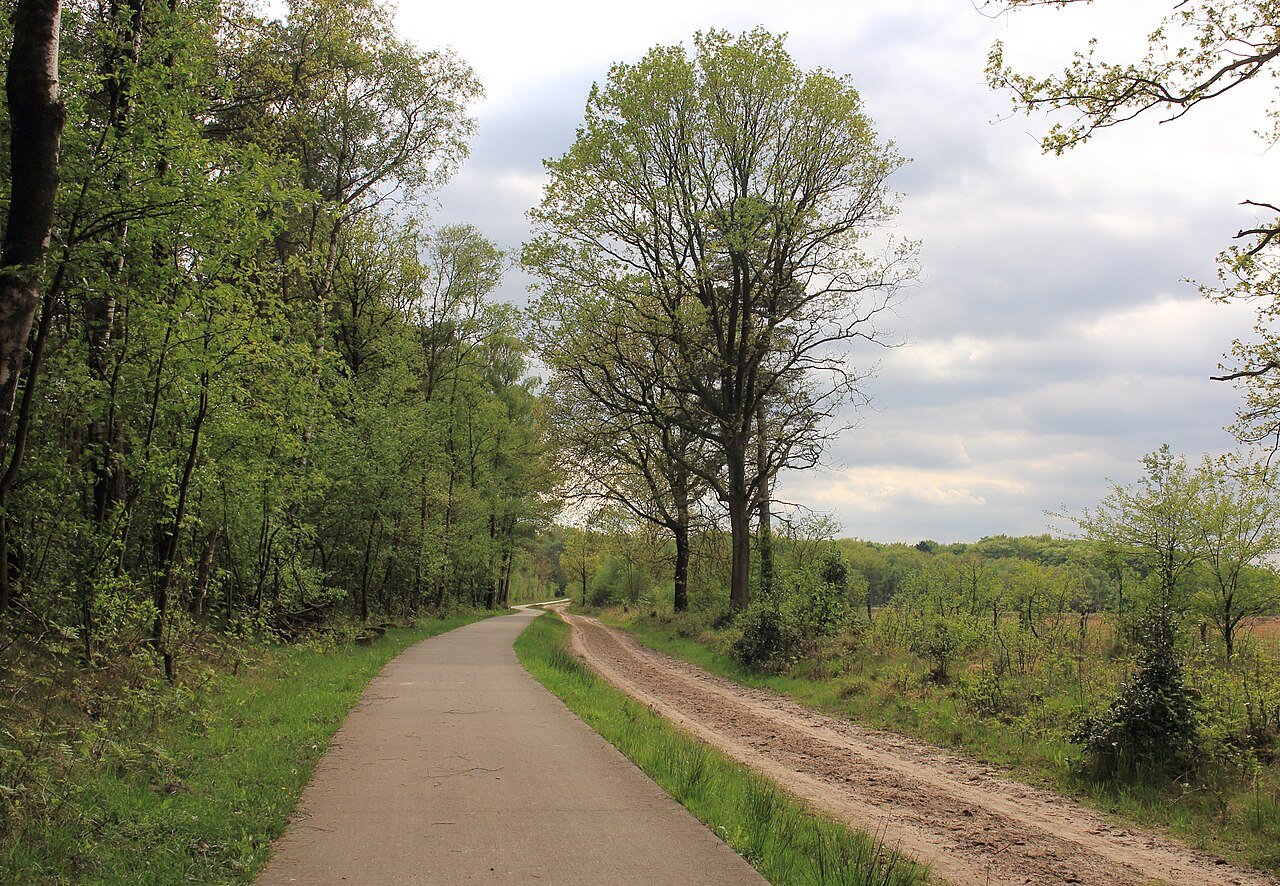 A2 afslag Meersen bos — hetero ontmoetingsplek in Meerssen