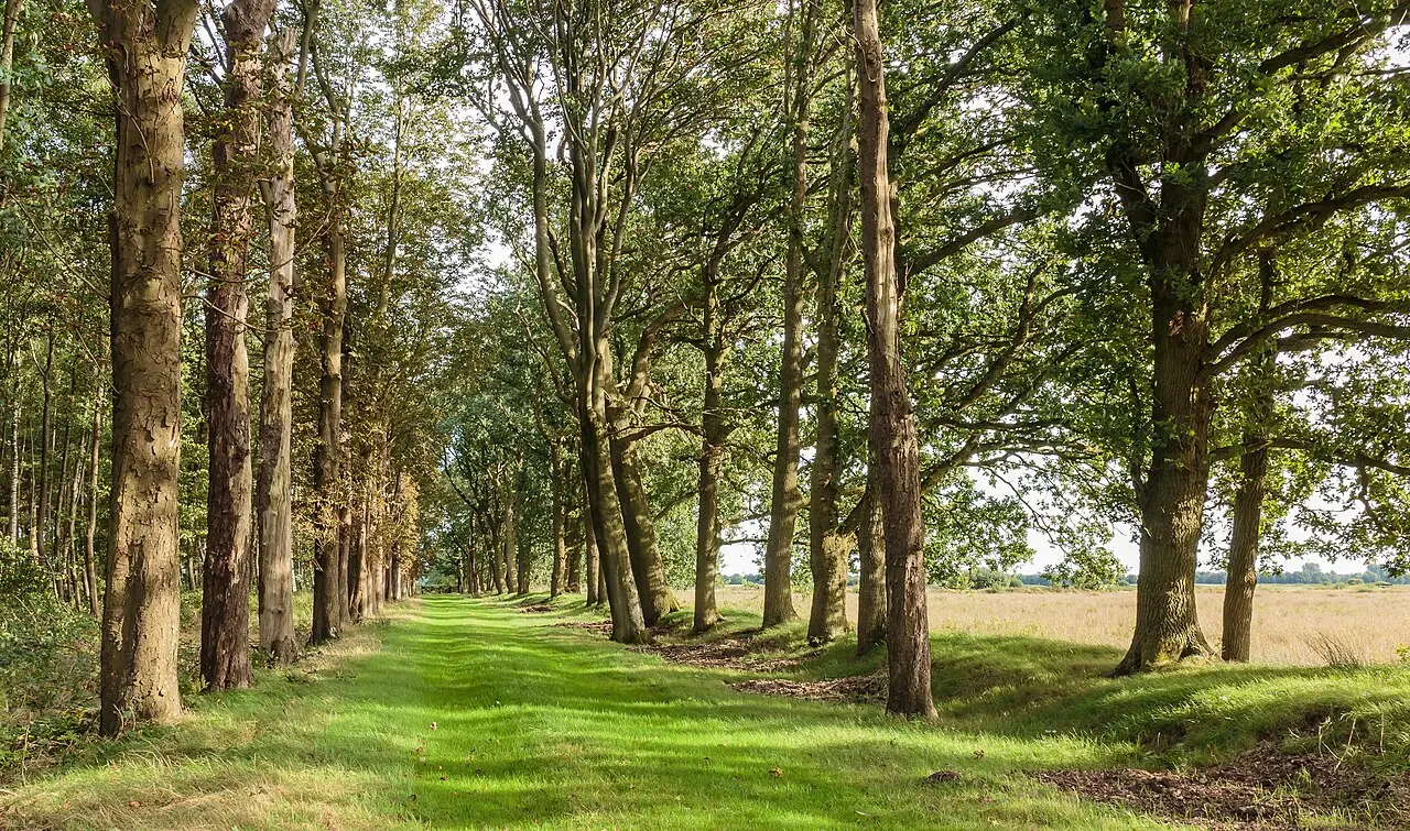 Venray De Wuust — hetero ontmoetingsplek in Heide