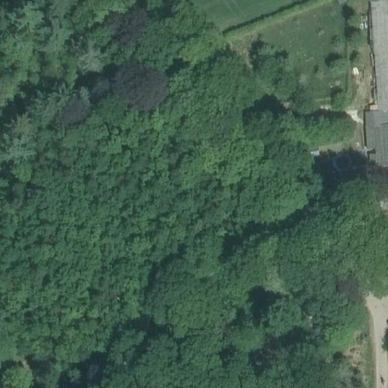 Luchtfoto Achterste Heide — © Kadaster/PDOK