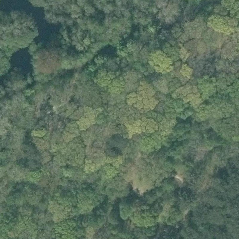 Luchtfoto Donkere Duinen — © Kadaster/PDOK