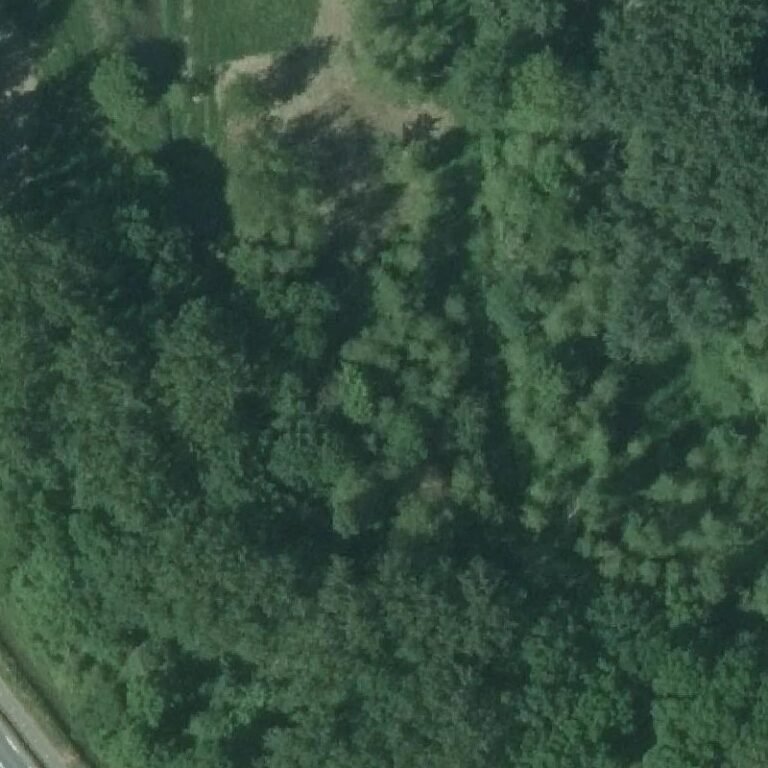 Luchtfoto Het Kippenbos, Oud-Alblas — © Kadaster/PDOK