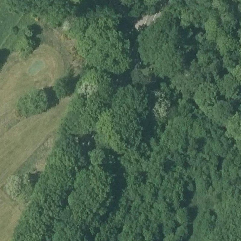 Luchtfoto Parenclub Kasteel Waterloo – Beesel — © Kadaster/PDOK