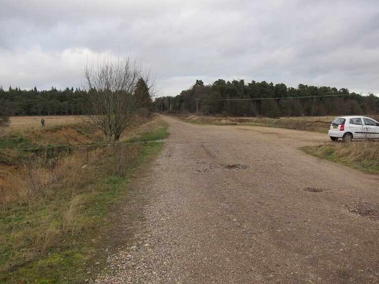 Haagse Bos – Den Haag — Den Haag