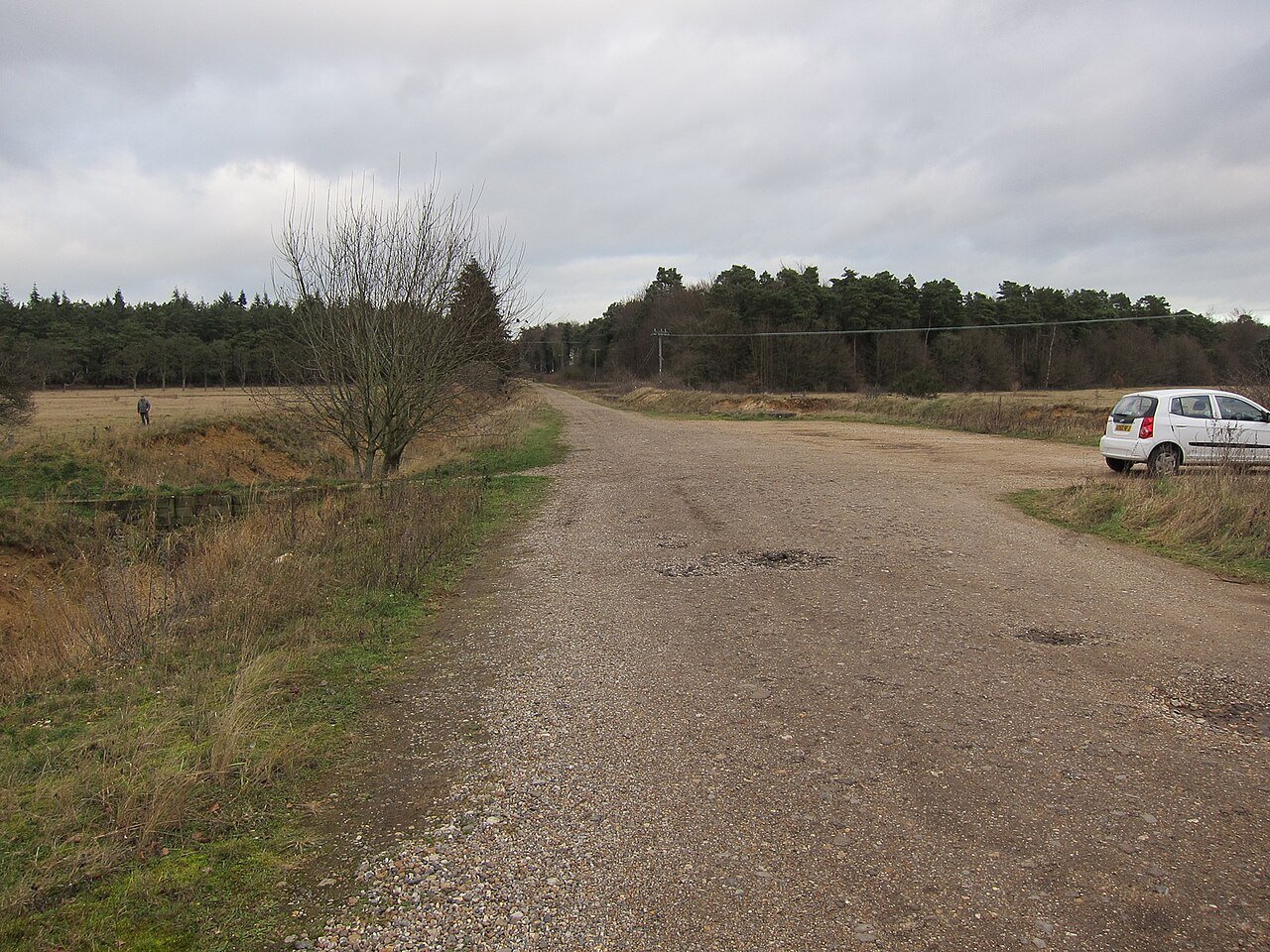 Haagse Bos – Den Haag — Den Haag